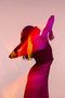 Atelier danse intuitive